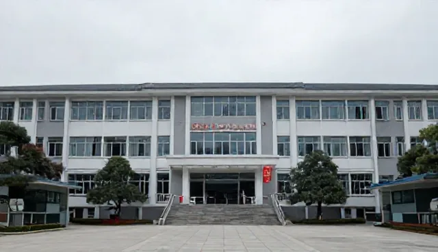 网站建设运营策略：适用场景与选择依据